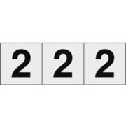 TSN502TM [数字ステッカー 50×50 「2」 透明 3枚入]