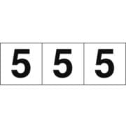 TSN505 [数字ステッカー 50×50 「5」 白 3枚入]