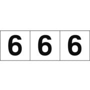 TSN506 [数字ステッカー 50×50 「6」 白 3枚入]