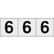 TSN506TM [数字ステッカー 50×50 「6」 透明 3枚入]