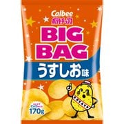 ポテトチップス うすしお味 BIGBAG 170g
