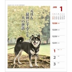 ヨドバシ Com Cl 375 犬川柳 週めくり 15年 カレンダー 通販 全品無料配達