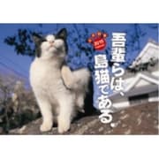 CL-385 [吾輩らは、島猫である。 2015年 カレンダー]