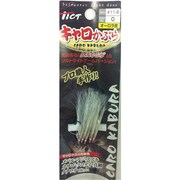 2100-3-2キャロカブラオーロラ皮11-8