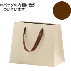 キャリーバッグ BE 22-199