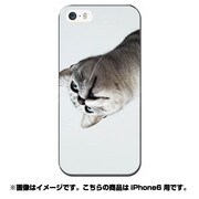 ip6-0425-uvbase-cl [デザインケース iPhone 6/6s 4.7インチ Real Cat Approach]