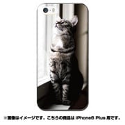 ip6l-0420-uvbase-cl [デザインケース iPhone 6 Plus/6s Plus 5.5インチ Real Cat Window]