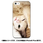 ip6l-0422-uvbase-cl [デザインケース iPhone 6 Plus/6s Plus 5.5インチ Real Cat Siesta]