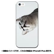 ip6l-0425-uvbase-cl [デザインケース iPhone 6 Plus/6s Plus 5.5インチ Real Cat Approach]