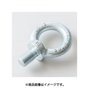 EB1000016 [アイボルト M16]