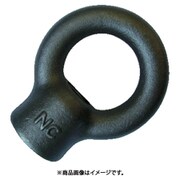 EN1000016 [アイナット M16]