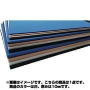 PEライト Z(新工作シート) 白 10×1000×1000 LD45101WH