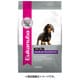 成犬用・犬種別サポート ミニチュア・ダックスフンド 2.7kg [ユーカヌバ 成犬用・犬種別サポート ミニチュア・ダックスフンド 2.7kg]