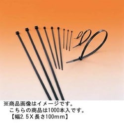 T18R-HSW [MSタイ 幅2.5×長さ100mm 屋外用 1000本入 黒]