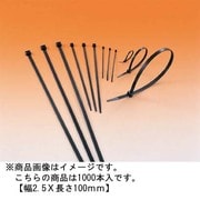 T18R-HSW [MSタイ 幅2.5×長さ100mm 屋外用 1000本入 黒]
