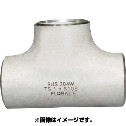 B-TS-10S-100A [同径チーズ S10S 09100069]