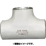B-TS-10S-100A [同径チーズ S10S 09100069]