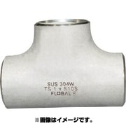 B-TS-10S-50A [同径チーズ S10S 09100066]