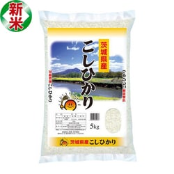精米 茨城県産コシヒカリ 5kg 令和7年産