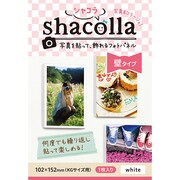 シャコラ 壁貼りタイプ KGサイズ ホワイト