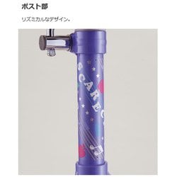 ヨドバシ.com - ブリヂストン BRIDGESTONE 一輪車 スケアクロウ