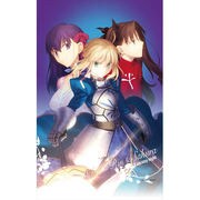 Fate/stay night タペストリー 1 [B2サイズタペストリー]