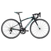 ロードバイク RIDE 410 39cm 700×25C 外装22段変速(フロント2段×リア11段) シルクブラック AMR041395 EK09