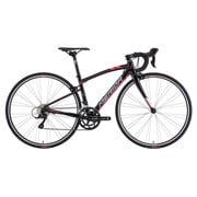 ロードバイク RIDE 210 42cm 700×25C 外装18段変速(フロント2段×リア9段) ランプブラック AMR021425 EK01