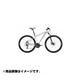 マウンテンバイク BIG.NINE 40-MD 43cm 29型 外装27段変速（フロント3段×リア9段） ホワイト（L-グレー/グリーン） BM904435 EW21