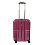 ハードキャリー 旅行日数目安:2~3日 40L/48.2L(拡張時) TSAロック搭載 ピンク ALI-MAX50W