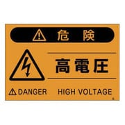 FS21 [蛍光標識「高電圧」]