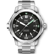 Aqua Timer(アクアタイマー) 自動巻き メンズ 並行輸入品 2年保証 IW329002