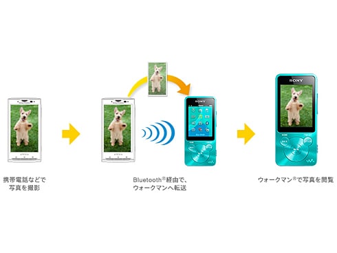 ヨドバシ.com - ソニー SONY メモリーオーディオ WALKMAN