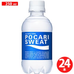 ポカリスエット PET 250ml×24本 [スポーツ飲料]