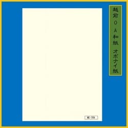 A4 50枚 クリームオボナイ紙 ME-709