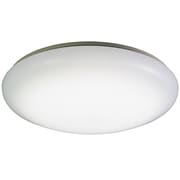 LED小型シーリングライト 昼光色 WY-CLGH-D