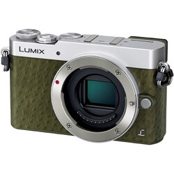 ヨドバシ.com - パナソニック Panasonic DMC-GM5K-G [LUMIX(ルミックス