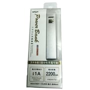 リチウム充電器 2200mAh USB出力：1ポート 最大：1A シルバー NCL2200SV