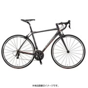ロードバイク AXIS SL2 410mm 700×25C 外装22段変速(フロント2段×リア11段) グレー 15G-IE-SP14