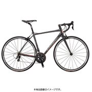 ロードバイク AXIS SL2 470mm 700×25C 外装22段変速(フロント2段×リア11段) グレー 15G-IE-SP16