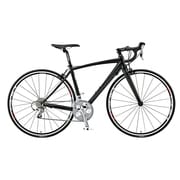 ロードバイク LGS-CTR 460mm 700×23C 外装20段変速(フロント2段×リア10段) マットLGブラック 15LG-CTR-06