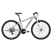 マウンテンバイク LGS-FIVE 29 470mm 29型 外装21段変速(フロント3段×リア7段) LGシルバー 15LG-F29-06