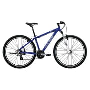 マウンテンバイク LGS-FIVE 29 420mm 29型 外装21段変速(フロント3段×リア7段) LGブルー 15LG-F29-08