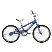 子ども用自転車 LGS-J20 230mm 20型 変速なし LGブルー 15LG-J20-03