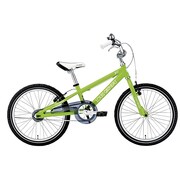 子ども用自転車 LGS-J20 230mm 20型 変速なし ライトグリーン 15LG-J20-05