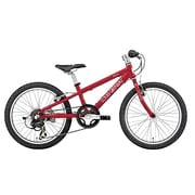 子ども用自転車 LGS-J206 250mm 20型 外装6段変速 LGレッド 15LG-J206-02