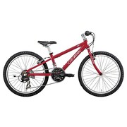 子ども用自転車 LGS-J22 270mm 22型 外装18段変速(フロント3段×リア6段) LGレッド 15LG-J22-02