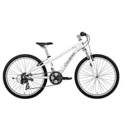 子ども用自転車 LGS-J24 300mm 24型 外装21段変速(フロント3段×リア7段) LGホワイト 15LG-J24-01