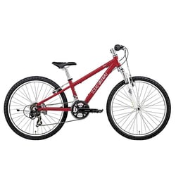 ルイガノ 子ども用自転車 24インチ 300mm 21段変速 Amazon | ルイガノ 2024年モデル スポーツ 子供 自転車 J24