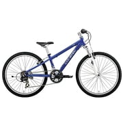 子ども用自転車 LGS-J24 300mm 24型 外装21段変速（フロント3段×リア7段） LGブルー 15LG-J24-03